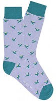 Colibrí